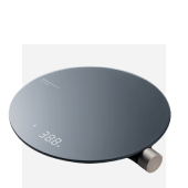 електронна везна